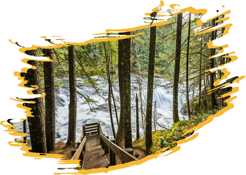 Peaceful little wooden bridge near deep forrest stream